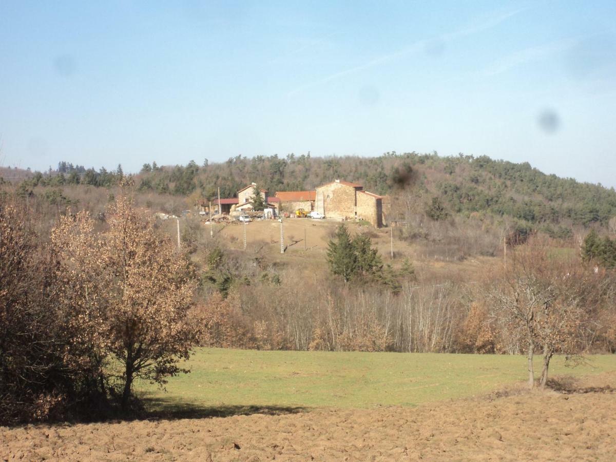 Le Donjon De La Reine Margot Beaumont (Haute-Loire) Exterior foto